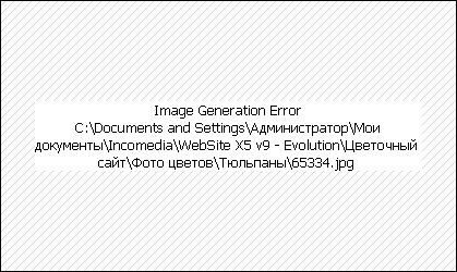 Размножение тюльпонов